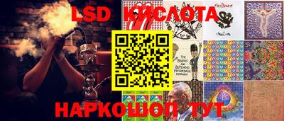 apvp Славгород