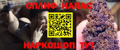apvp Славгород